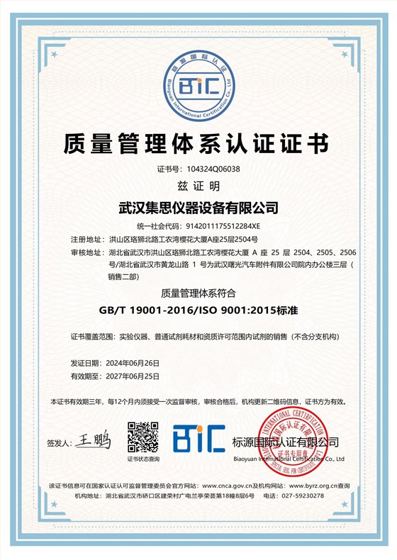 ISO9001質(zhì)量管理體系_頁面_1