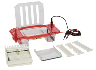 31DS型 水平瓊脂糖電泳槽