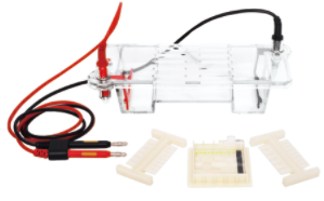 31BN 微型水平電泳槽